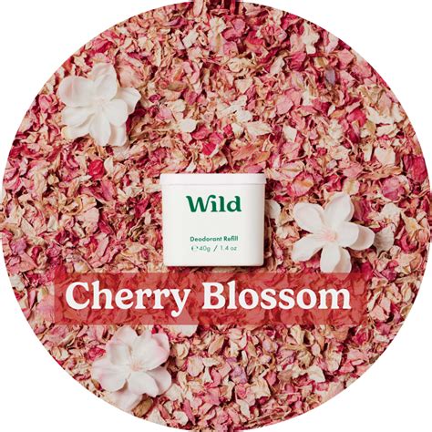 Cherry Blossom Starter Pack Wild Uk