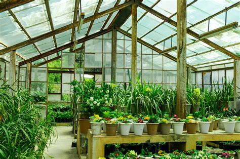 The “lean To Greenhouses” And Their Benefits