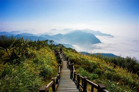 Alishan Taiwan Favorite Places Pinterest Taiwan And Spaces
