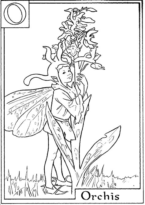 alphabet flower fairy coloring pages getcoloringpagescom
