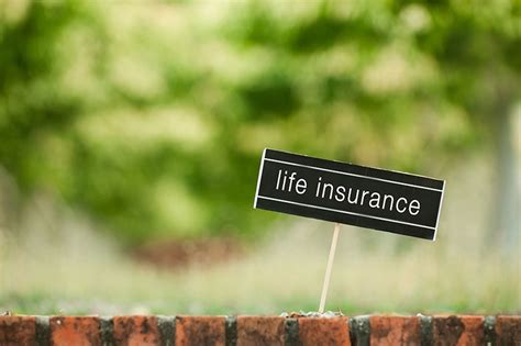 Check spelling or type a new query. Simplified Life Insurance in Canada - RateLab.ca