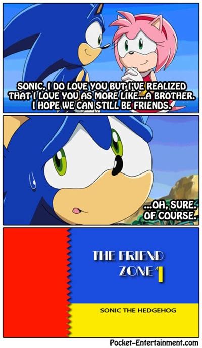 184 Best Sonic Memes Images On Pinterest Hedgehogs Hedgehog And