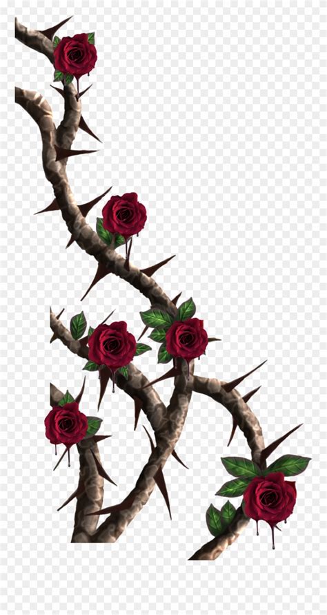 Download Vines Roses Vine Red Rose Thorns Png Clipart