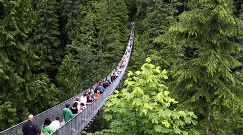 Llᐈ ¿qué Ver O Hacer En Vancouver Un Día Cualquiera Canadá