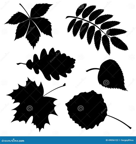 Set Of Silhouette Leaves Stock Vector Illustration Of Aspen 49056122