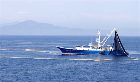 Inicia Temporada De Pesca De Atún En El Océano Pacífico 2000agro