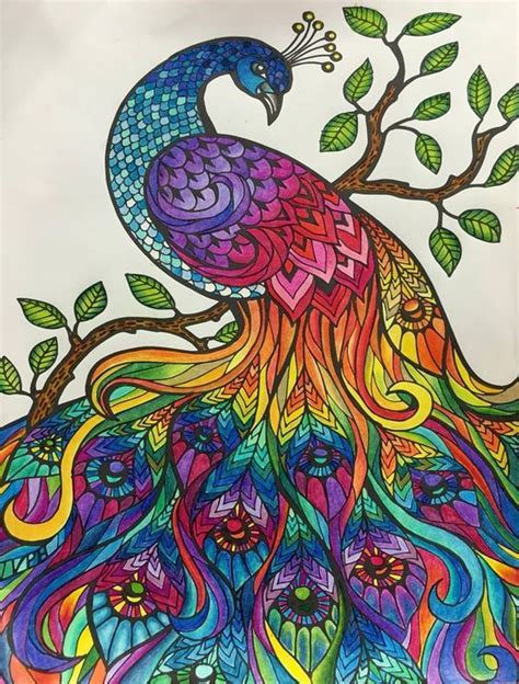 We've searched high and low for free bird coloring pages. beautiful beautiful peacock coloring | Colorful art ...