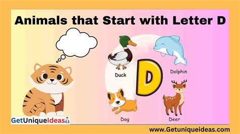 Animals That Start With D Name An Animal Beginning With D