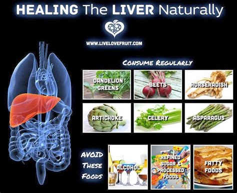 Rainbowdiary Healing The Liver Naturally