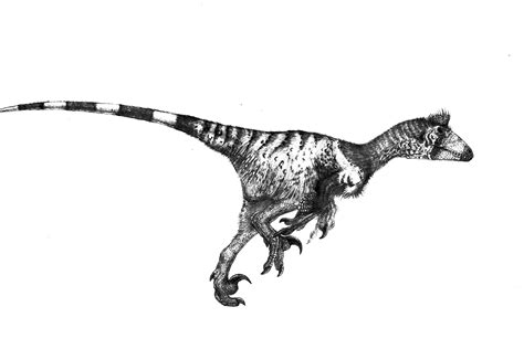 Deinonychus By Monopteryx On Deviantart