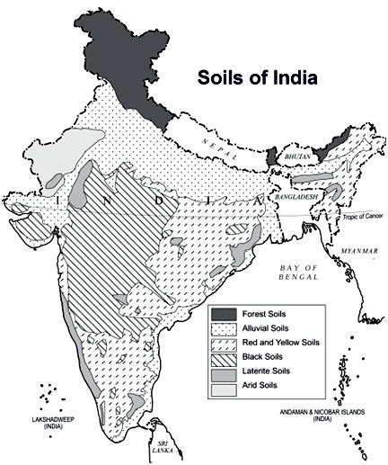 Types Of Soils In India Gktoday