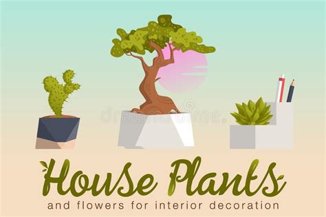 House Plants And Flowers Stock Vector Illustration Of Philodendron