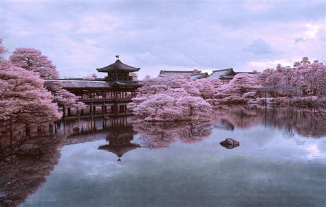 Обои пруд, отражение, Япония, сакура, Киото картинки на рабочий стол ...