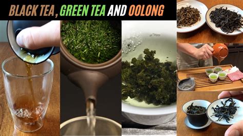 Oolong Tea Green Tea Vs Black Tea 3 Different Tea Types Explained