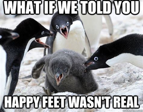 24 Memes That Prove Penguins Are The Funniest Animals On Earth Cuteness