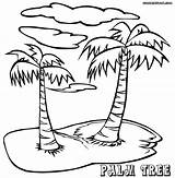 Coloring Palm Tree Trees Printable Drawing Adults Island Sheets Step Popular Sheet Getdrawings Birijus Adult sketch template