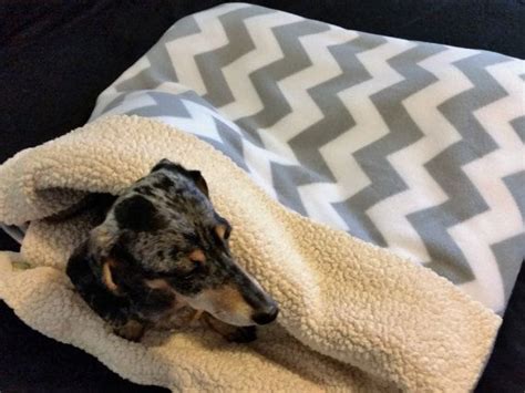 Dog Burrow Bag Burrow Bag Dog Bed Dog Blanket Dog Snuggle Etsy Dog