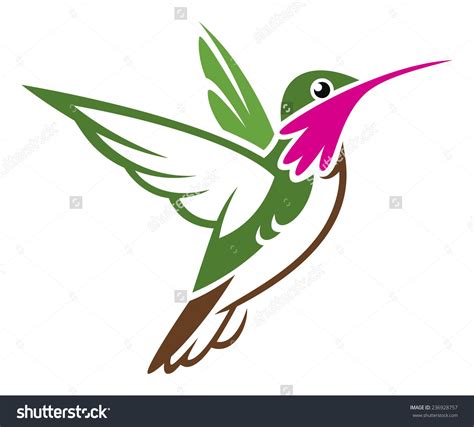 Hummingbird Vector Art At Collection Of Hummingbird