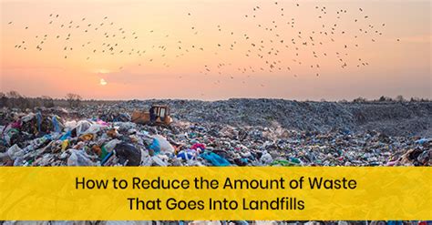 How To Reduce The Amount Of Waste That Goes Into Landfills Gorilla Bins