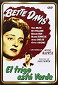 El Trigo Está Verde [DVD]: Amazon.es: Bette Davis, Nigel Bruce, Rhys ...