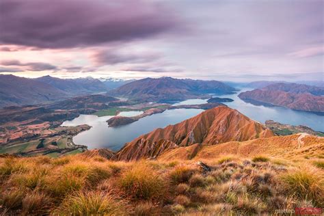 Epic Landscape At Sunset From Mt Roy Wanaka New Zealand Royalty