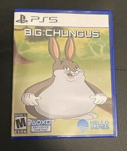 New Hd Cover Big Chungus Ps5 Game Case Only Custom Ebay