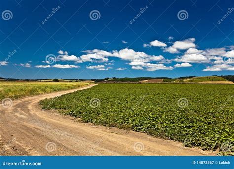 Dirt Road In Countryside Stock Image Image Of Fields 14072567