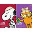 Snoopy Garfield And Friends Go Bald For Kids With Cancer  NCPR News
