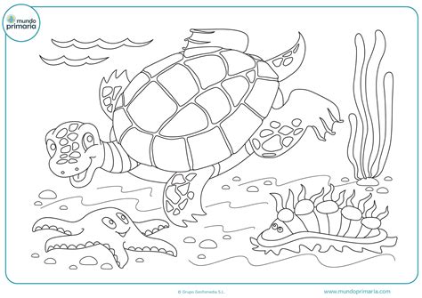 Ver más ideas sobre tortugas pintadas, patrones de bordado, dibujos. Dibujos de tortugas para Colorear - Mundo Primaria