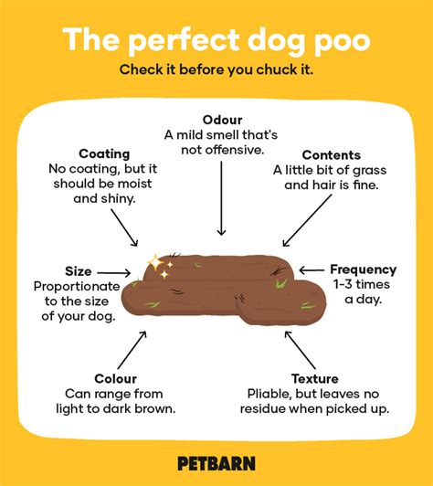 Stool Chart Poster Kemele