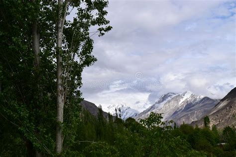 View Of Snowy Alps Mountains And Green Trees Hill Stock