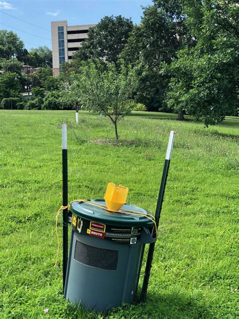 The Ever Controversial Japanese Beetle Trap Gateway Greening