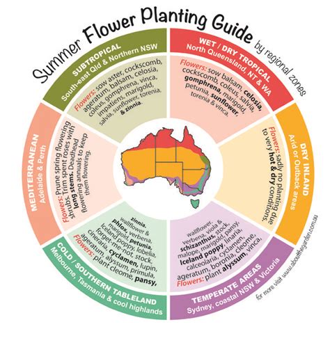 Seasonal Growing Guide Australia About The Garden Magazine Flower