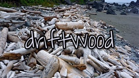 Where To Find Driftwood Youtube