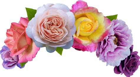 Flower Crown Png Flower Crown Png Transparent Free For Download On