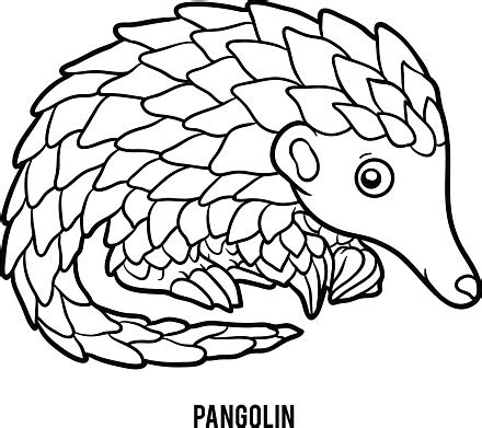 Select from 35657 printable coloring pages of cartoons, animals, nature, bible and many more. Coloring Book Pangolin Stock Illustration - Download Image ...