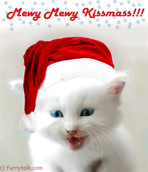 Merry Merry Christmas Kitten Furry Talk