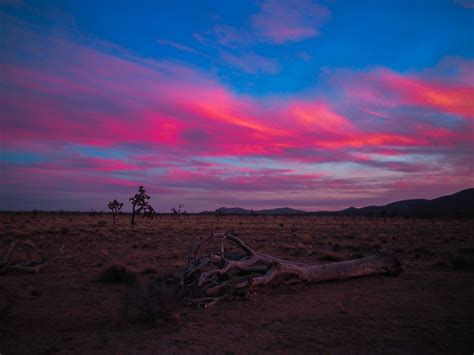 Sunset At Joshua Tree National Park Ca Usa Polandbarb