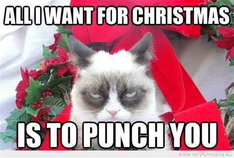 The Christmas Blog 2017 This Christmas Grumpy Cat And Friends Wish You