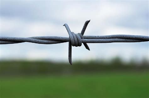 Wholesale galvanized barbed wire / barb wire fence / Galvanized metal ...