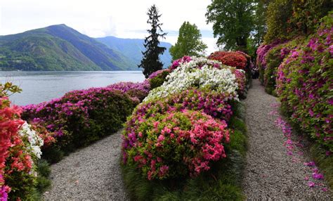 Ver las 29 opiniones sobre green view garden. Villas and Villages on Lake Como - Camerons Travels | Rick ...