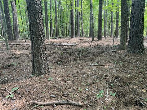 Kentucky Hunting Land For Sale Mossy Oak Properties