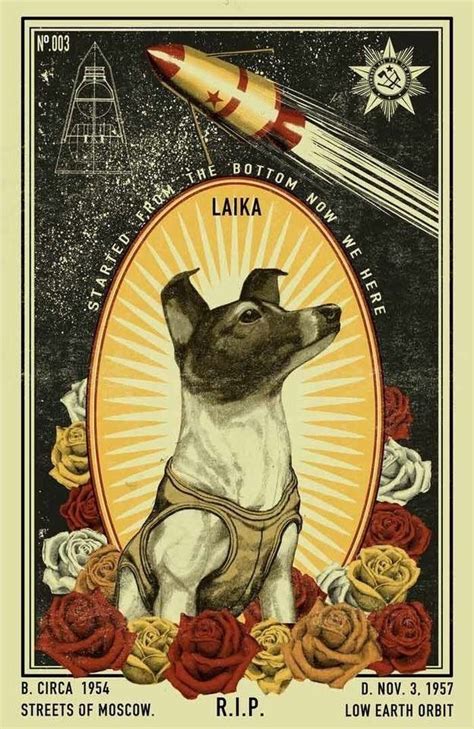 Laika Soviet Space Dog Who Became One Of The First Animals In Space