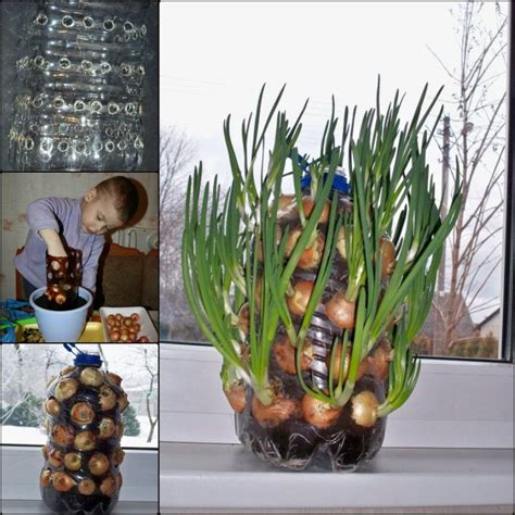 Diy Vertical Onion Tower Planter Out Of Plastic Bottle
