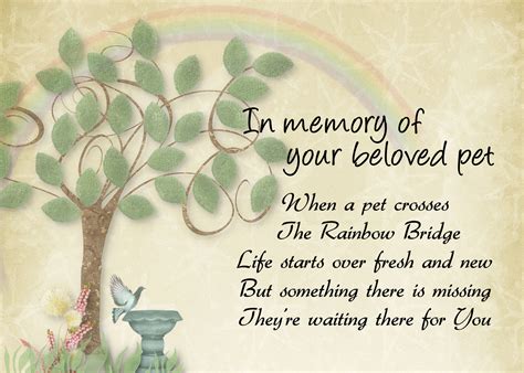 3,680 likes · 226 talking about this. Rainbow Bridge pet loss sympathy | Flickr - Photo Sharing!