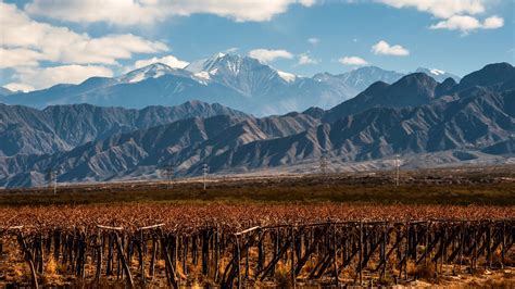 Mendoza Wine Wine Regions Of Argentina Wine Searcher