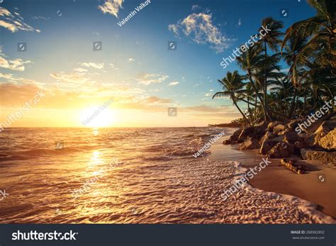 Palm Trees On Tropical Beach Sunrise Stock Photo 288982892 Shutterstock