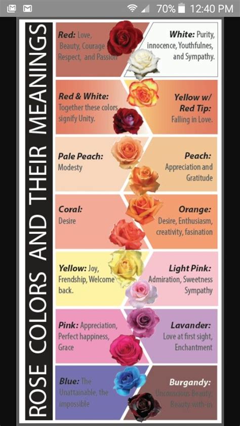 Red Roses Rose Color Meanings Flower Meanings Different Types Of