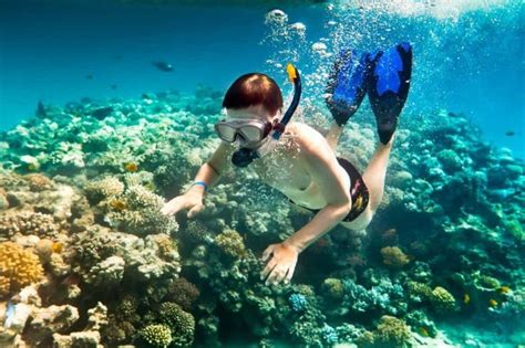 Bãi biển mỹ khê có chiều dài 900m, thuộc vào loại nhộn nhịp nhất trong số các bãi tắm của đà nẵng. Lặn ngắm san hô Đà Nẵng là 1 trải nghiệm chỉ có ở thành ...
