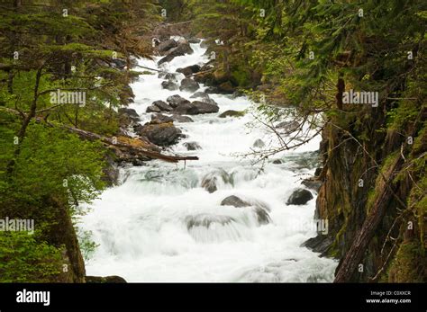 Alaska Cascade Creek Thomas Bay Tongass National Forest Southeast